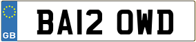 Trailer License Plate